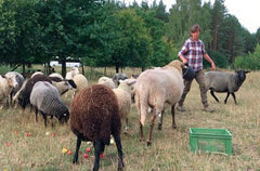 Bäuerin Kirsten Hänsel - Hof Apfeltraum - Eggersdorf, Brandenburg