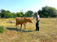 Bauer Volker Woltersdorff - Bauernhof Blankenfelde