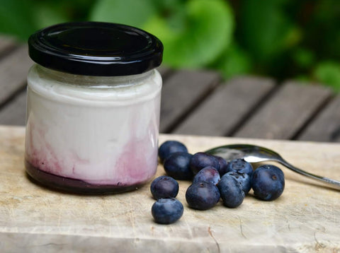 Bio Fruchtdessert (Heidelbeere)