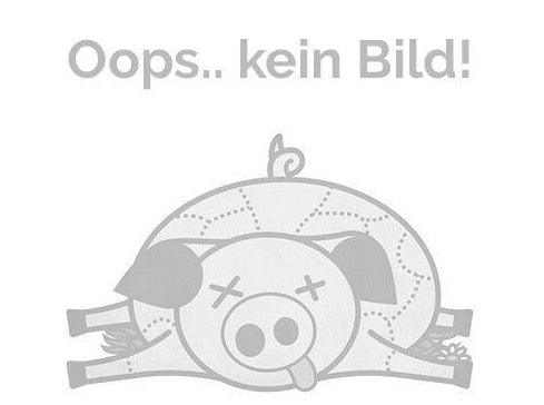 Bio Niere vom Sattelschwein