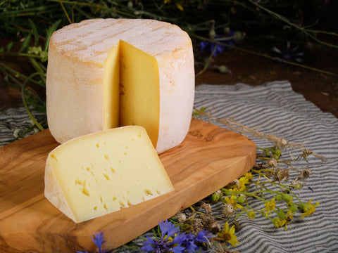 Bio-Deichkäse - 10 Wochen gereift