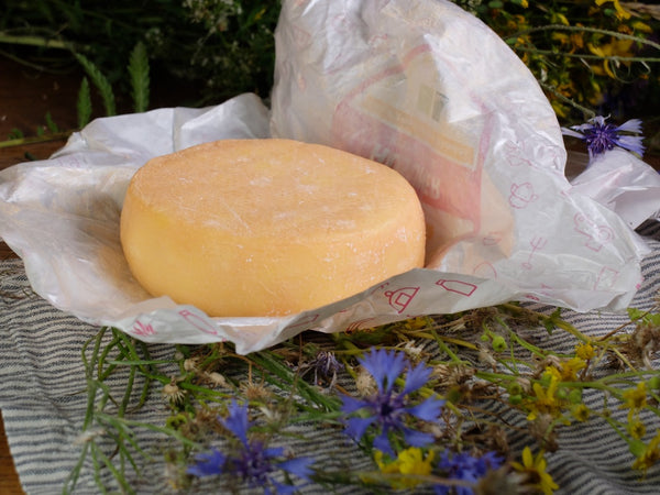 Husumer Bio Käse aus Rohmilch